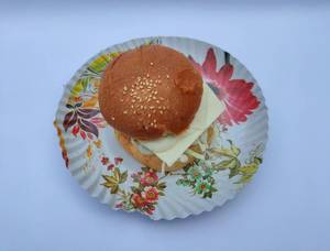 Special Chicken Burger