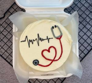 Doctor Theme Blueberry Bento Cake