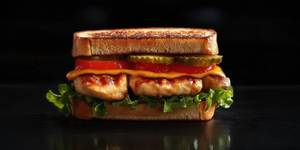 Chicken Grilled Sandwich
