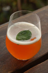 Classic Kombucha
