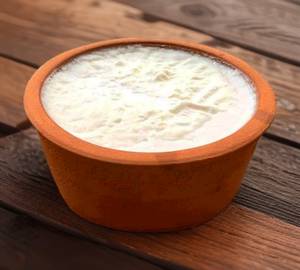 Plain curd dahi