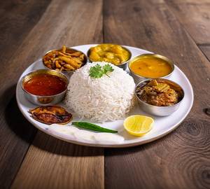 The aravali regular thali