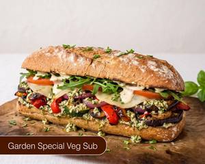 Garden Special Veg Sub