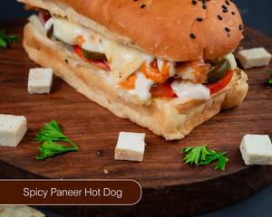 Spicy Paneer