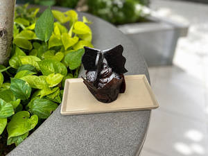 Dark Chocolate Ganache Muffin