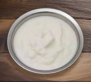 Plain Dahi