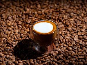 Macchiato
