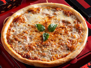 Sourdough Jain Margherita Pizza