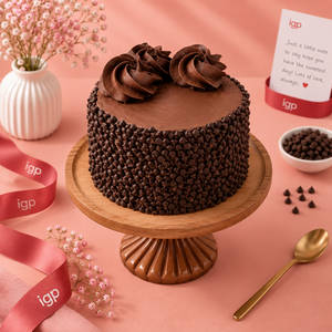 Choco Chip Truffle Bento Cake (300 Gm)