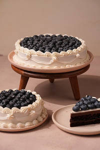 Blueberry Cocoa Frost Cake