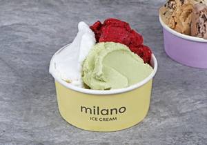 Gelato To Go 250Gm ( 3 Flavours)