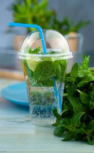 Virgin mojito🍸