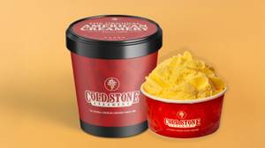 Fresh Mango Ice Cream Pack