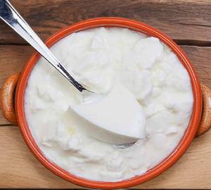 Fresh Dahi ( Curd )