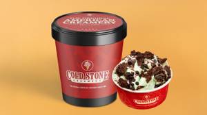 Mint Mint Chocolate Chocolate Chip Ice Cream Family Pack