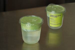 Matcha Coconut Cloud