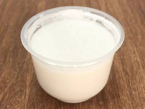 Plain Dahi