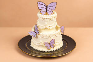 Vintage Butterfly Double Tier Cake