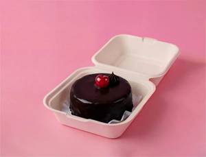 Cherish Chocolate Bento Cake