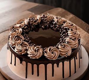 Chocolate Choco Chips Cake 500 G