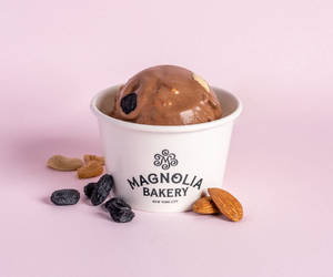 FRUIT & NUT ICE CREAM