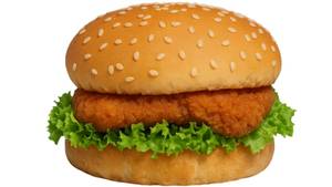 Paneer Delight Burger