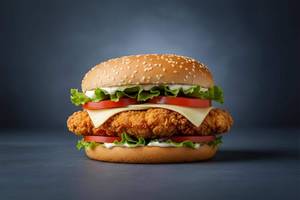 Mexican Burger