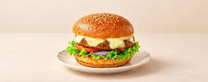 Veg Cheese Burger