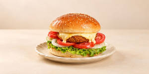 Cheese Burst Burger