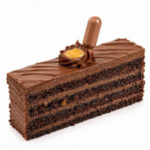 Chocolate Slice
