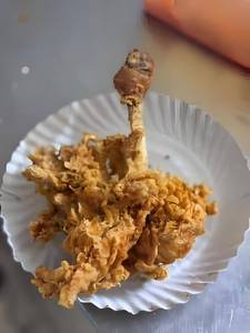 Tree Chicken