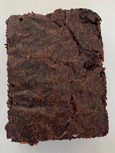 Plain Brownie