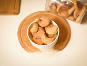 Salt Biscuit
