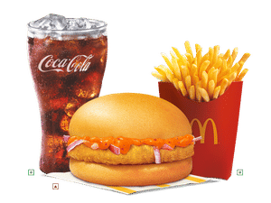 Large EVM Chicken Delite Korean Burger