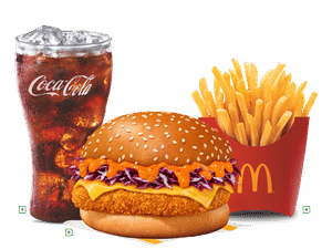             EVM McSpicy Paneer Korean Burger