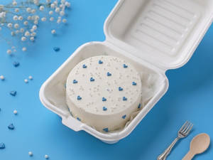 Chocolate Chip Bento Cake