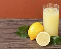 Lemon Sharbat (200ml)