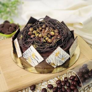 Chocolate Nest Cake