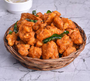Gobi 65  