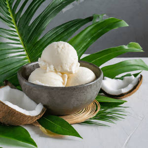 Tender Lovin' Coconut Sugar Free Ice Cream [125 Ml]