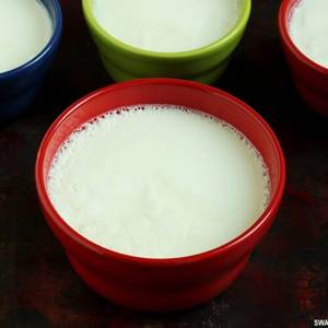Plain Curd