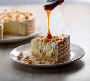 Butterscotch Ice Cream Cake