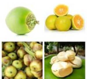 Tender Coconut Mosambi Juice  (750ml)