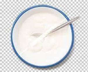 Plain Curd