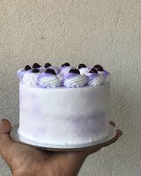 Blueberry Minicake