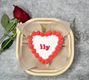 Valentines Chocolate Bento Cake