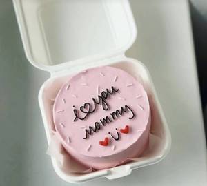 Chocolate Choco Chip Bento Cake
