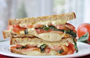 Vegetable Grilled Sandwich
