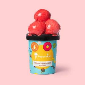 Vegan Raspberry Sorbet Ice Cream[450ml]