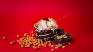 Extra Scoop Ice Cream